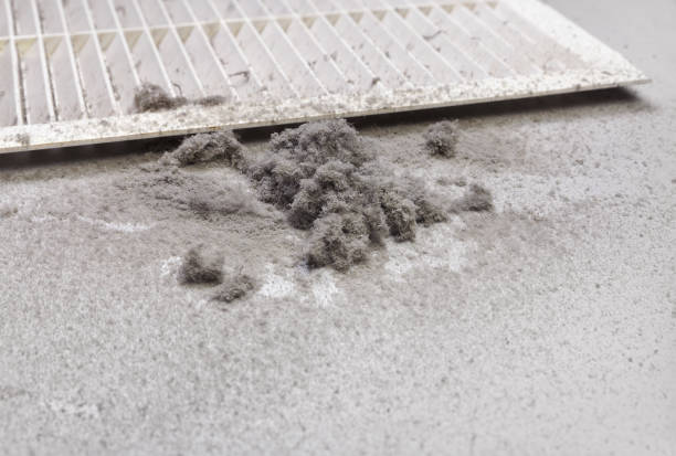 Best Dryer Vent Cleaning Services  in Pleasant Run Farm, OH