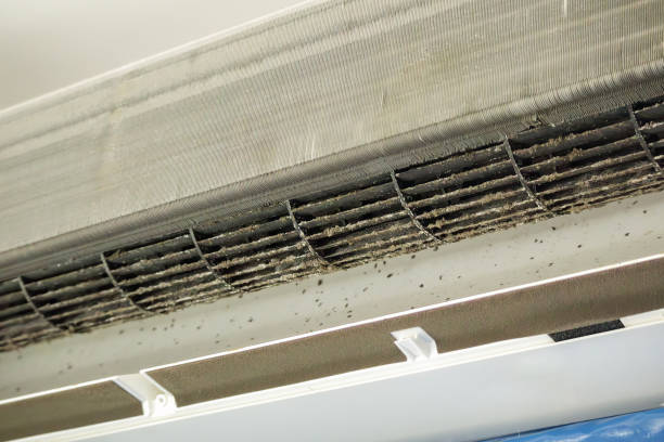 Best Home Air Vent Cleaning  in Pleasant Run Farm, OH